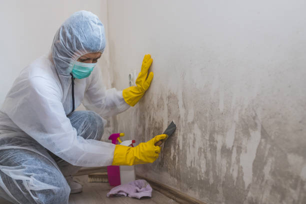 Best Real Estate Mold Inspection  in Dawson, MN