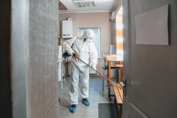 Best Residential Mold Inspection & Testing  in Dawson, MN
