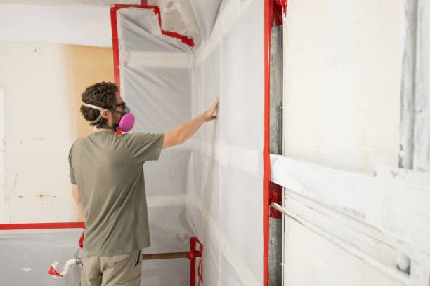 Dawson, MN Mold Removal Company
