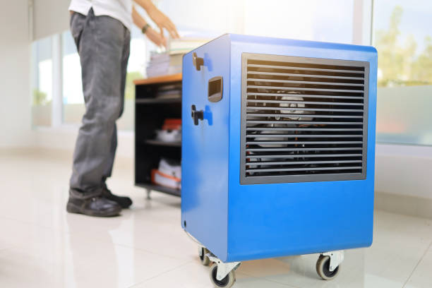 Best Comprehensive Air Testing for Mold Contaminants  in Dawson, MN