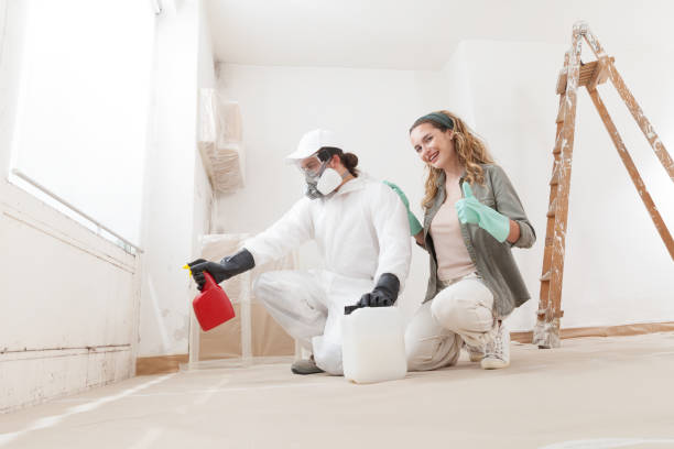 Best Mold Odor Removal Services  in Dawson, MN