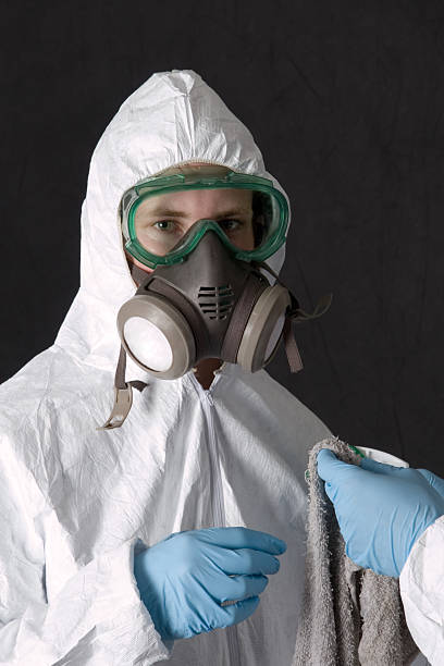 Best Asbestos and Lead Testing During Mold Inspection  in Dawson, MN